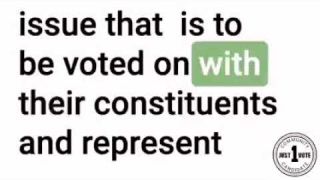 WHAT IS A JUST-1-VOTE Community Candidate?